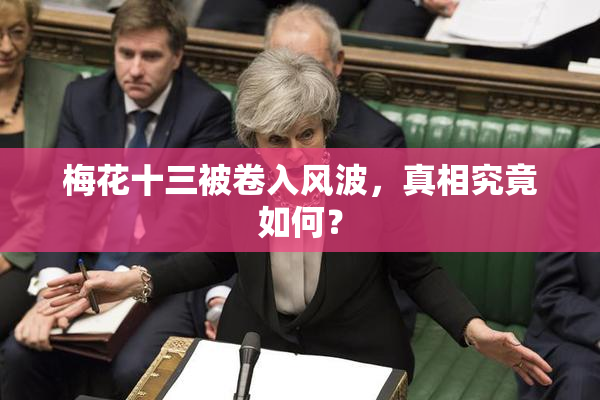 梅花十三被卷入风波，真相究竟如何？