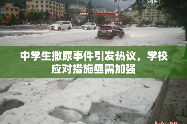 中学生撒尿事件引发热议，学校应对措施亟需加强