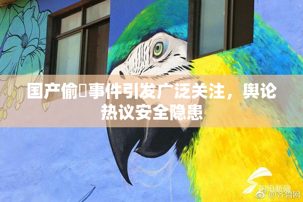 国产偷抇事件引发广泛关注，舆论热议安全隐患