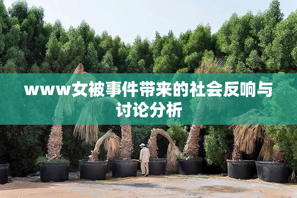 www女被事件带来的社会反响与讨论分析