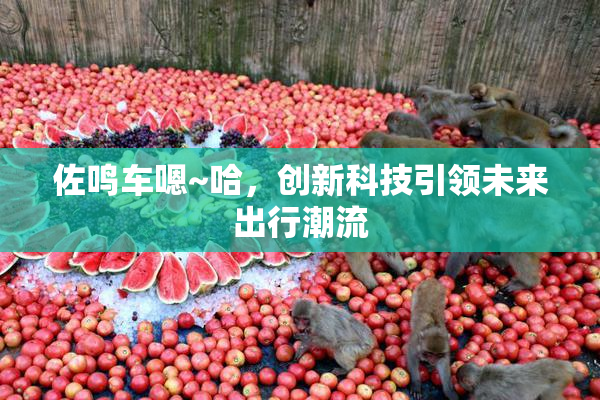 佐鸣车嗯~哈，创新科技引领未来出行潮流