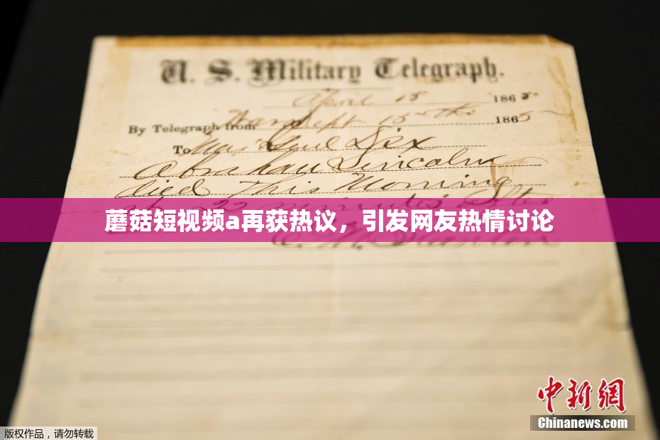蘑菇短视频a再获热议，引发网友热情讨论