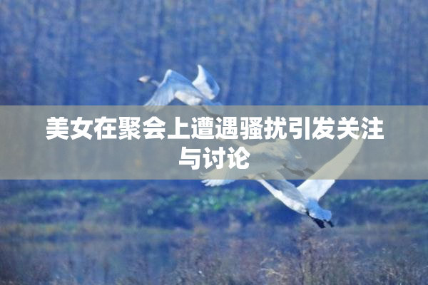 美女在聚会上遭遇骚扰引发关注与讨论