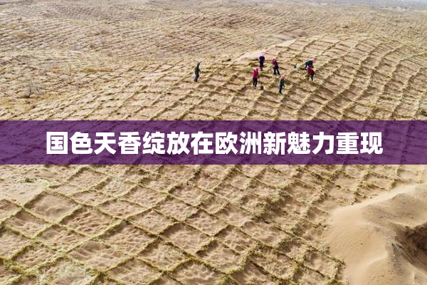 国色天香绽放在欧洲新魅力重现