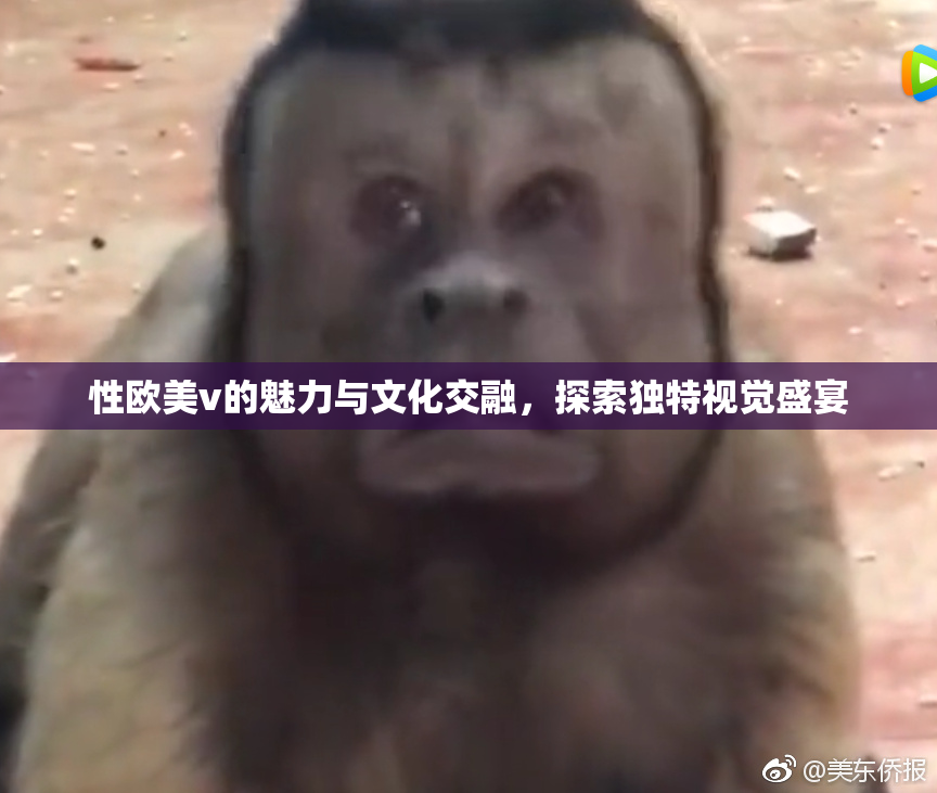 性欧美v的魅力与文化交融，探索独特视觉盛宴