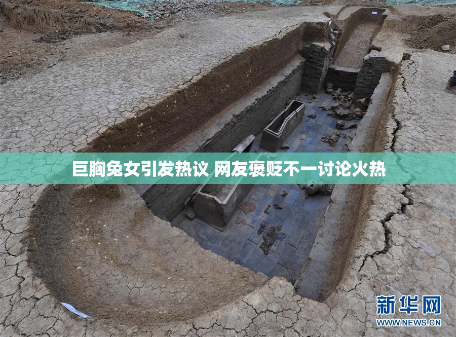 巨胸兔女引发热议 网友褒贬不一讨论火热