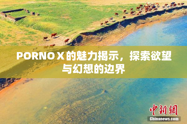 PORNOⅩ的魅力揭示，探索欲望与幻想的边界