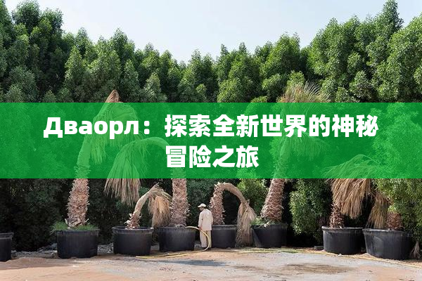 Дваорл：探索全新世界的神秘冒险之旅