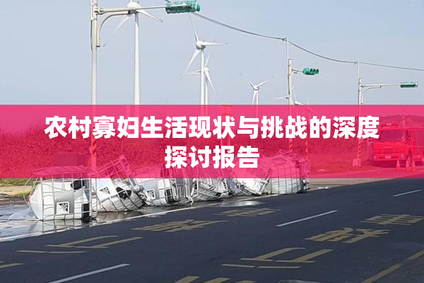 农村寡妇生活现状与挑战的深度探讨报告