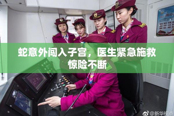 蛇意外闯入子宫，医生紧急施救惊险不断