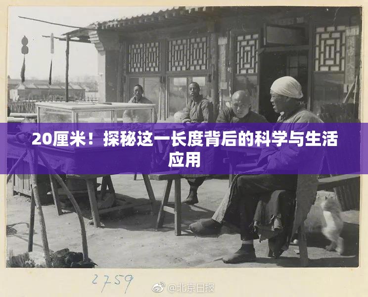 20厘米！探秘这一长度背后的科学与生活应用