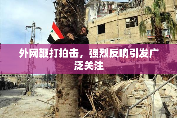 外网鞭打拍击，强烈反响引发广泛关注