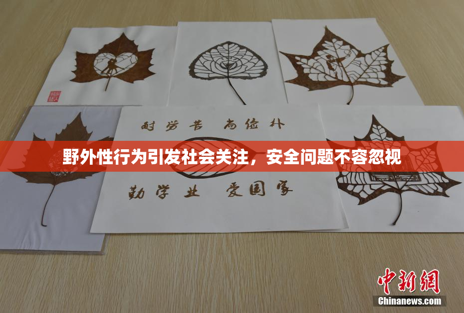 野外性行为引发社会关注，安全问题不容忽视