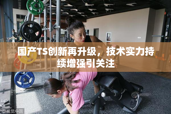 国产TS创新再升级，技术实力持续增强引关注