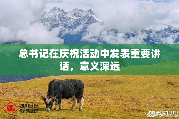 总书记在庆祝活动中发表重要讲话，意义深远