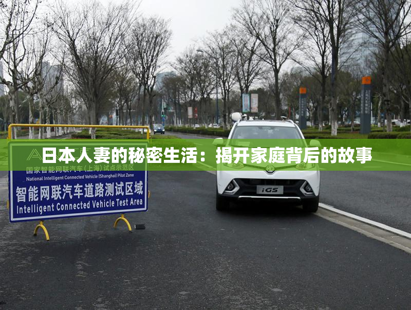 日本人妻的秘密生活：揭开家庭背后的故事