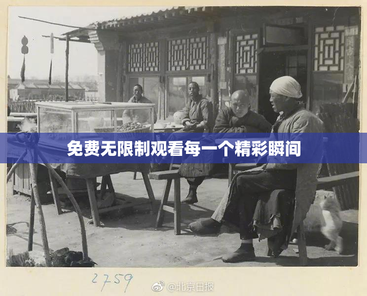 免费无限制观看每一个精彩瞬间