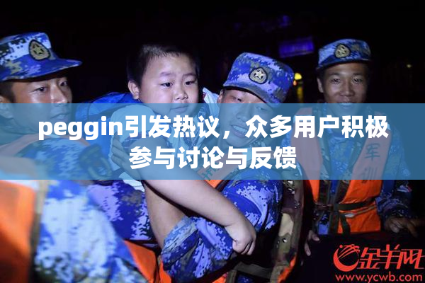 peggin引发热议，众多用户积极参与讨论与反馈