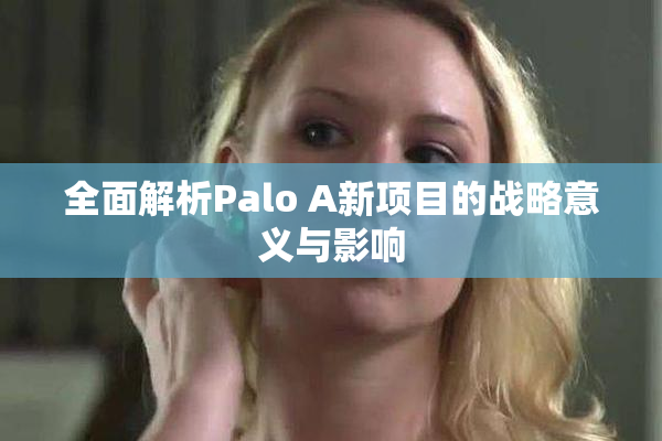 全面解析Palo A新项目的战略意义与影响