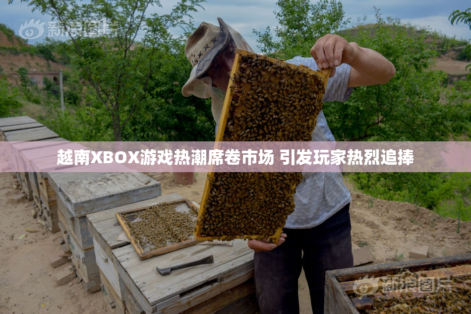 越南XBOX游戏热潮席卷市场 引发玩家热烈追捧