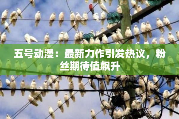 五号动漫：最新力作引发热议，粉丝期待值飙升