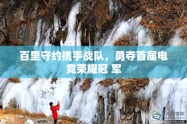 百里守约携手战队，勇夺首届电竞荣耀冠 军