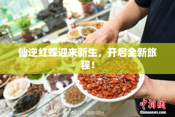 仙逆红蝶迎来新生，开启全新旅程！