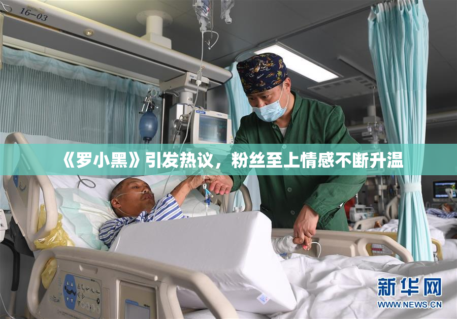 《罗小黑》引发热议，粉丝至上情感不断升温
