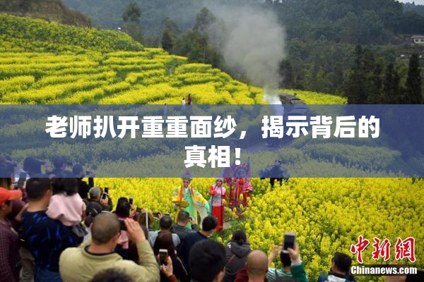老师扒开重重面纱，揭示背后的真相！
