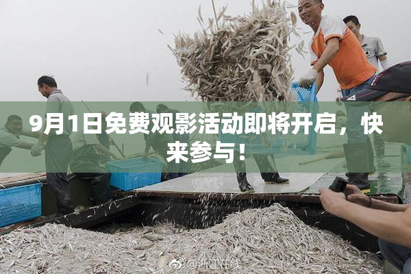 9月1日免费观影活动即将开启，快来参与！