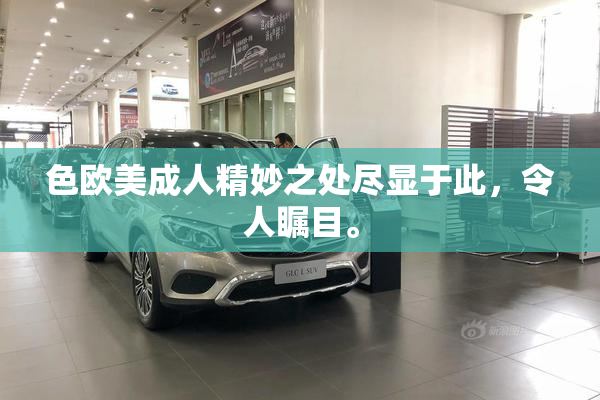 色欧美成人精妙之处尽显于此，令人瞩目。