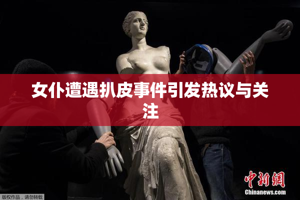 女仆遭遇扒皮事件引发热议与关注