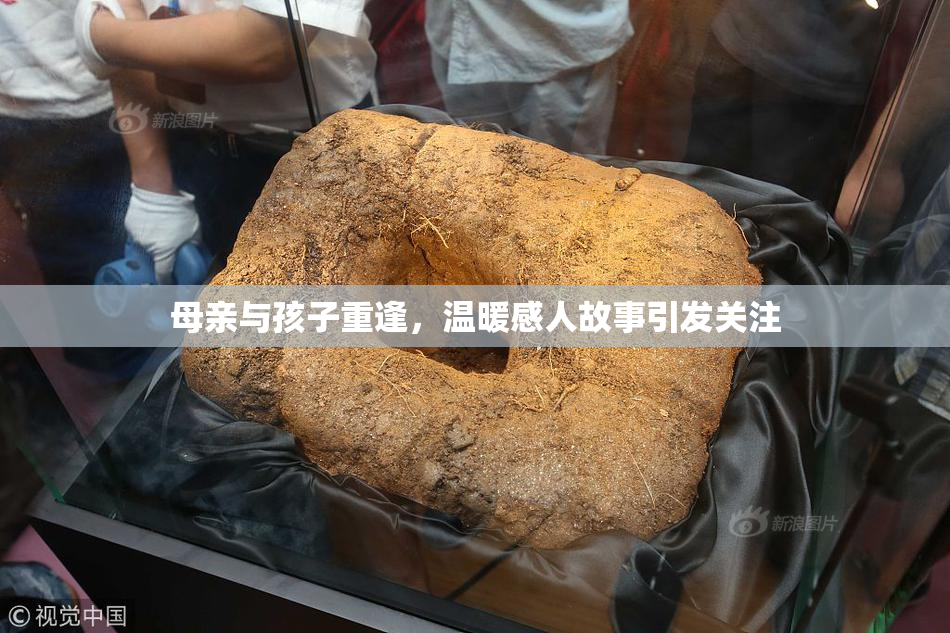 母亲与孩子重逢，温暖感人故事引发关注