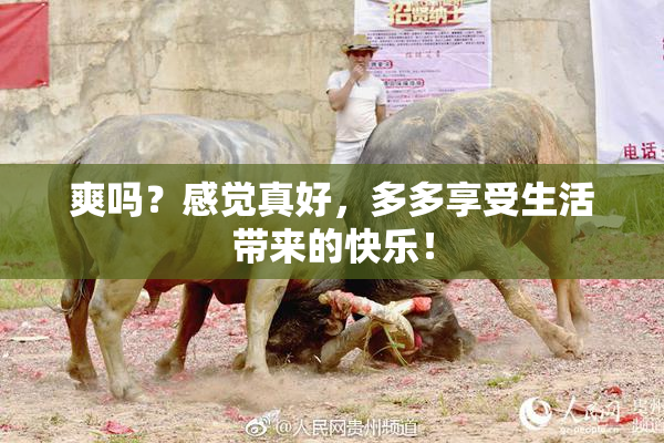 爽吗？感觉真好，多多享受生活带来的快乐！