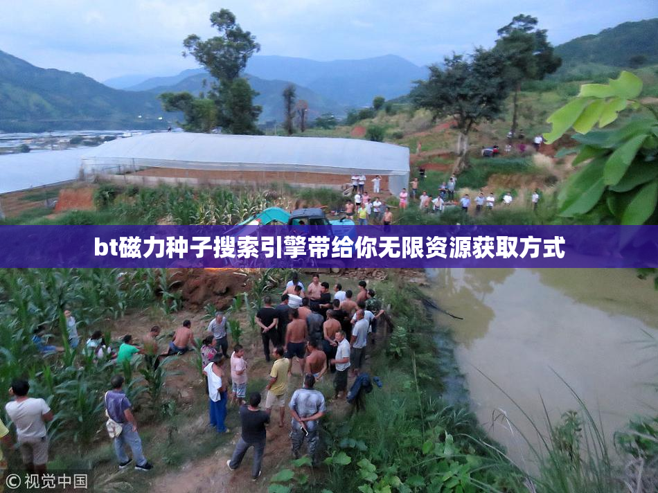 bt磁力种子搜索引擎带给你无限资源获取方式