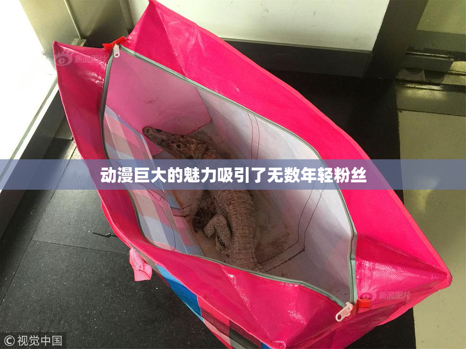 动漫巨大的魅力吸引了无数年轻粉丝