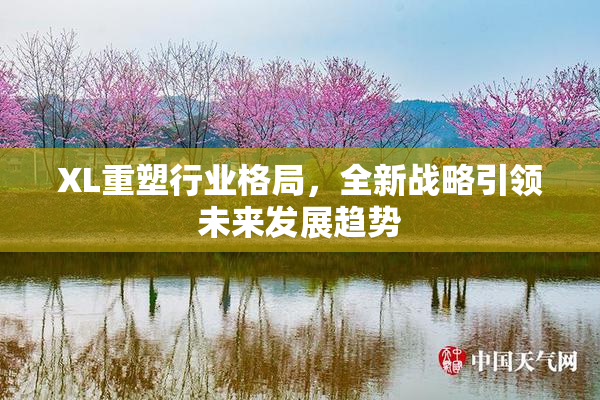 XL重塑行业格局，全新战略引领未来发展趋势