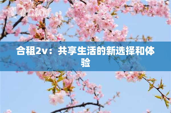 合租2v：共享生活的新选择和体验