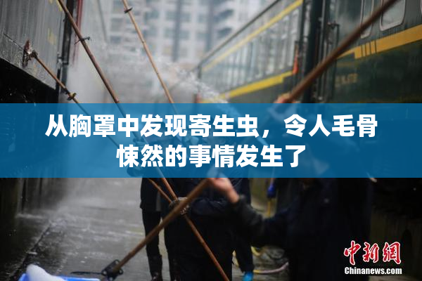 从胸罩中发现寄生虫，令人毛骨悚然的事情发生了
