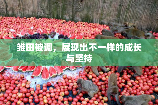 雏田被调，展现出不一样的成长与坚持