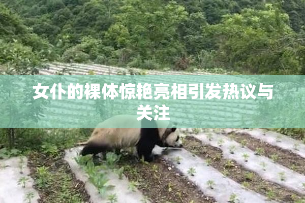女仆的裸体惊艳亮相引发热议与关注