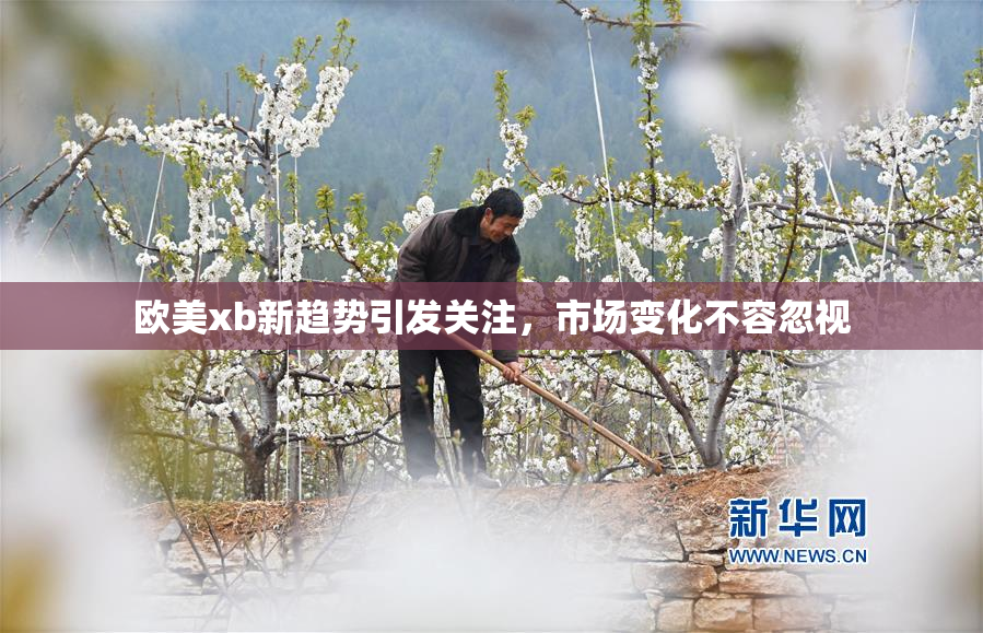 欧美xb新趋势引发关注，市场变化不容忽视