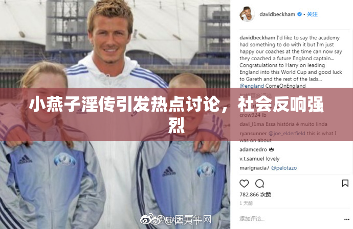 小燕子淫传引发热点讨论，社会反响强烈