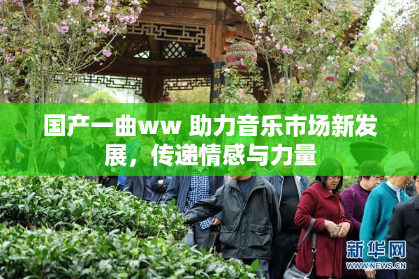 国产一曲ww 助力音乐市场新发展，传递情感与力量
