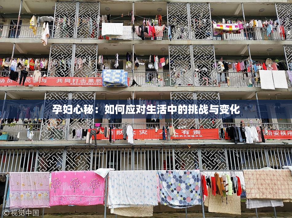 孕妇心秘：如何应对生活中的挑战与变化