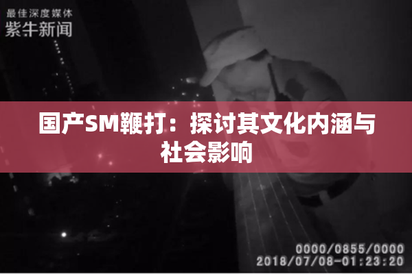 国产SM鞭打：探讨其文化内涵与社会影响