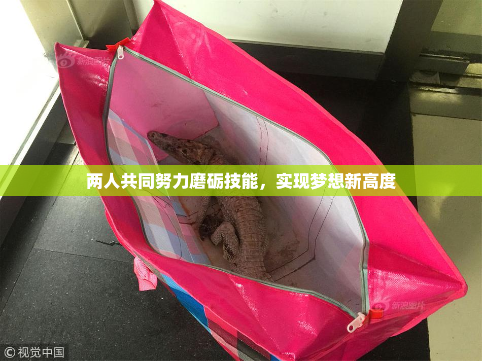 两人共同努力磨砺技能，实现梦想新高度