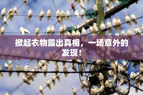 掀起衣物露出真相，一场意外的发现！