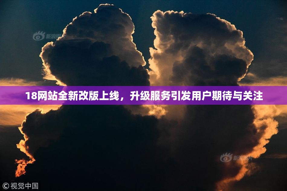18网站全新改版上线，升级服务引发用户期待与关注