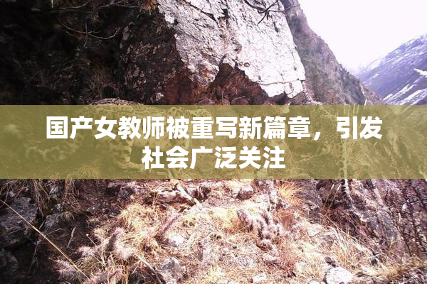 国产女教师被重写新篇章，引发社会广泛关注